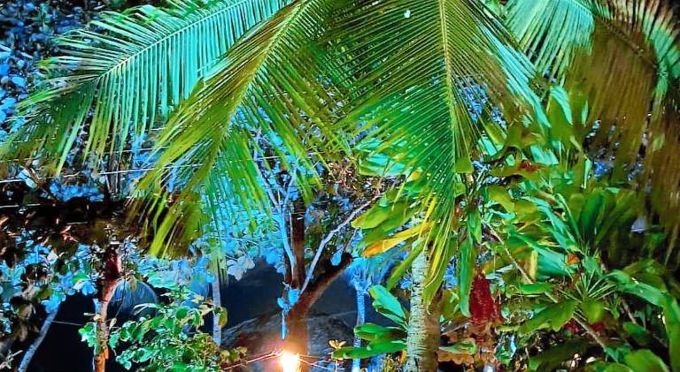 Vacation home with 2 rooms for 8 persons — photo 4