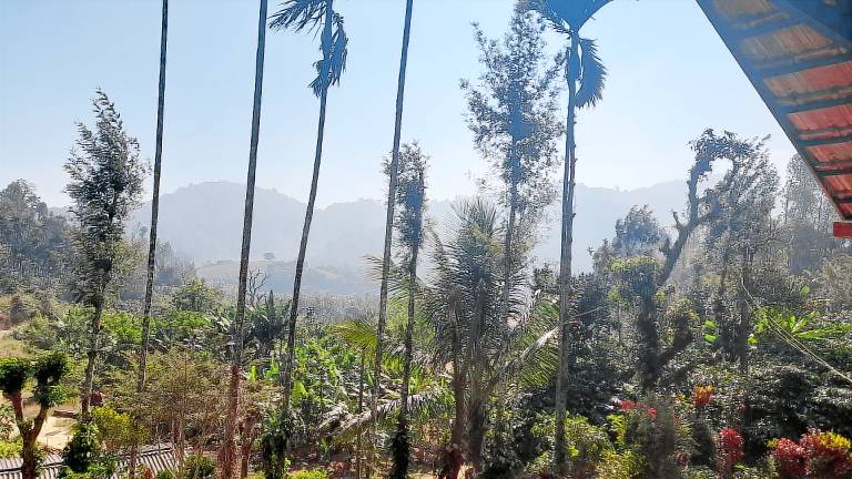 foto8