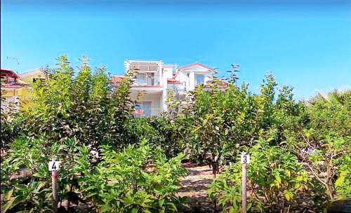 Appartamento Lido del Sole