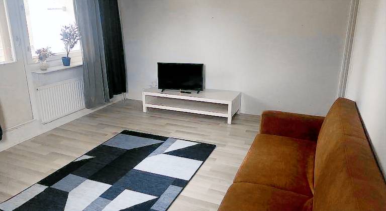 Apartment | Dogs allowed — photo 3