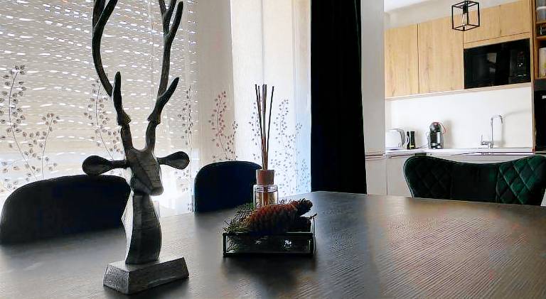 Holiday apartment with sauna | Pets are welcome — photo 3