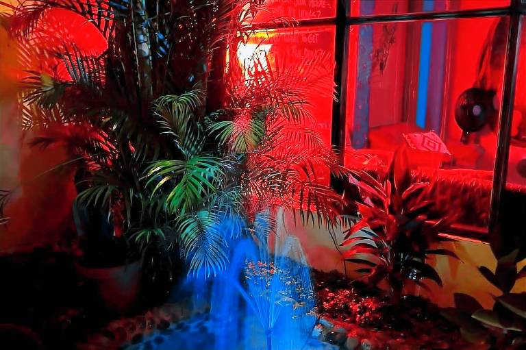 Dreamkapture Hostel
