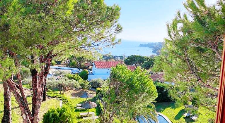 Apartment with yard & pool | Close to the beach | Pets are welcome — photo 4