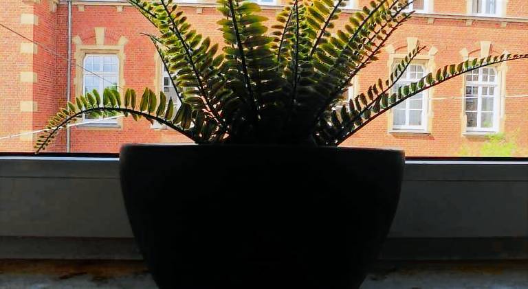 foto2