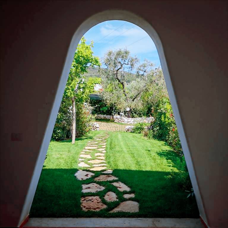 Villa with garden — photo 3