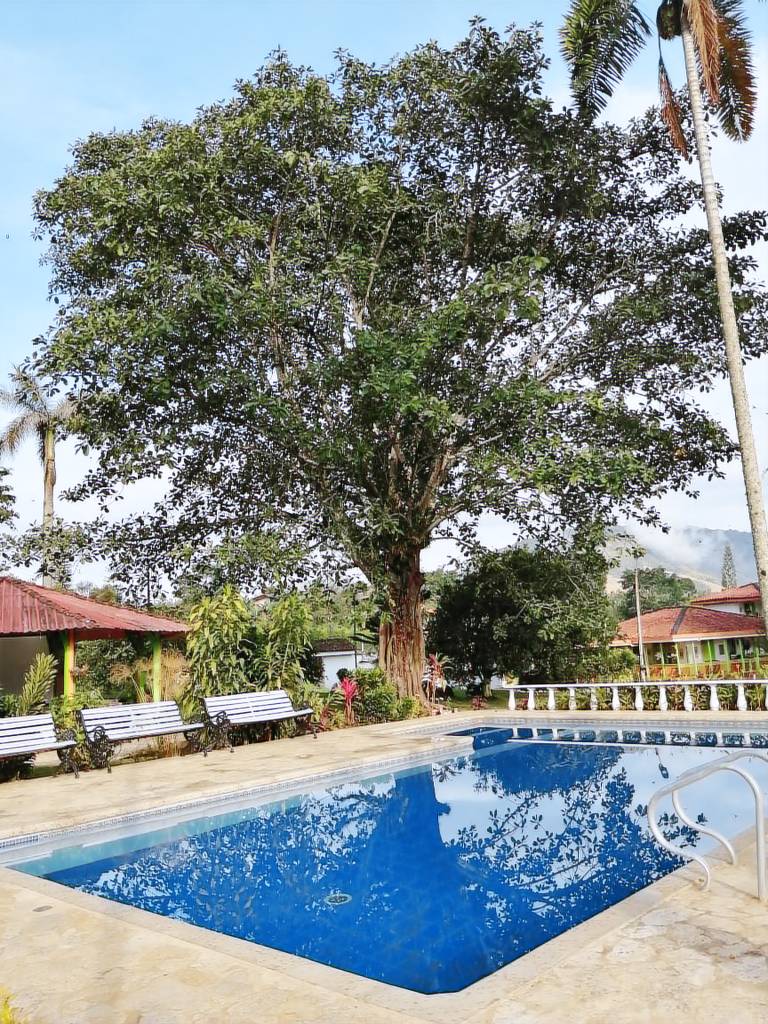 Child-friendly private room with garden & pool | Lake view | Pet-friendly — photo 4