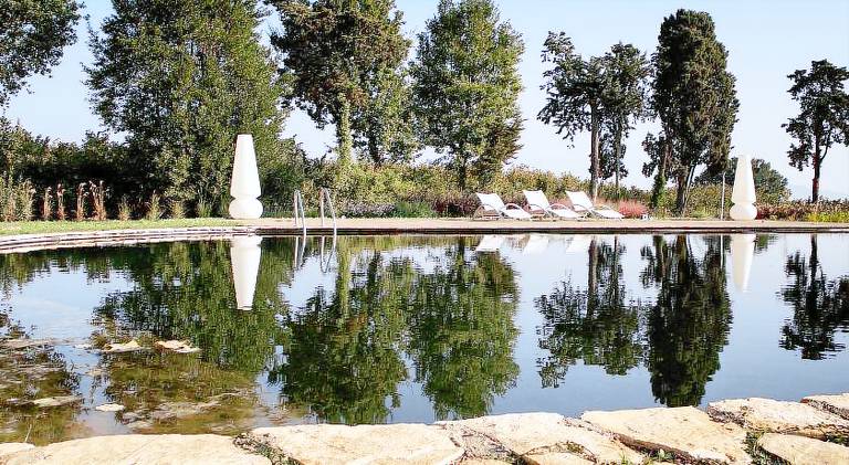 Farm with pool & garden — photo 4
