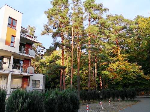 Apartament Junoszyno