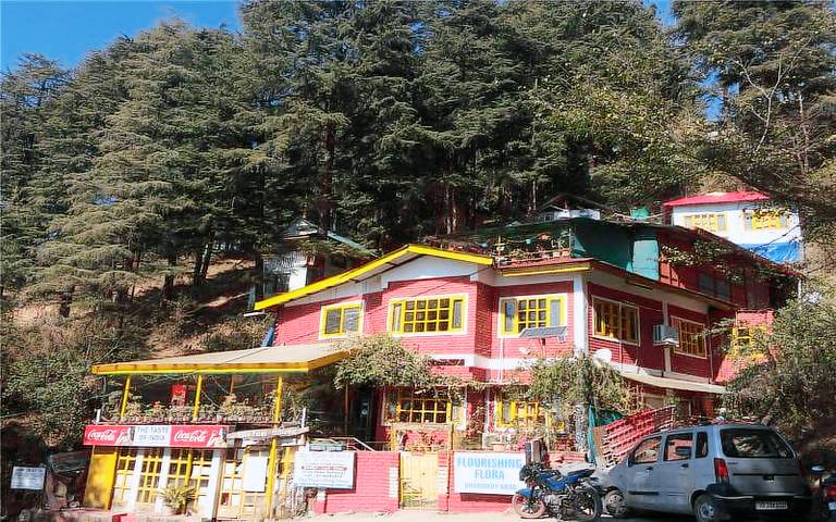 Bed and breakfast  Dharamshala