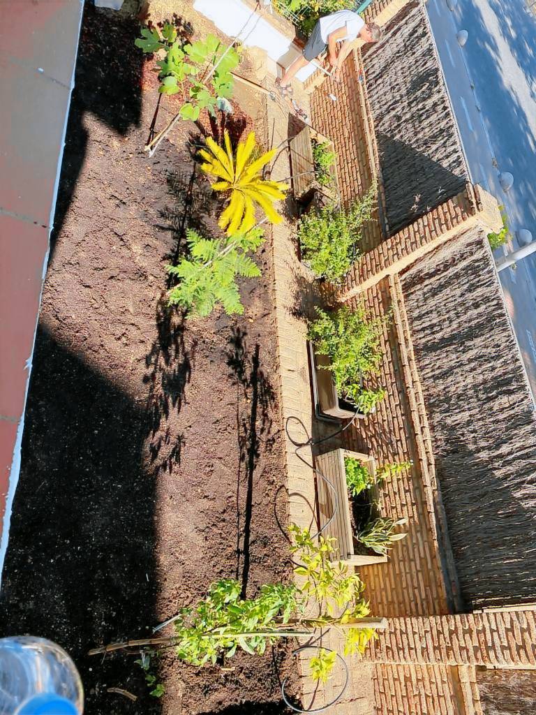 foto4