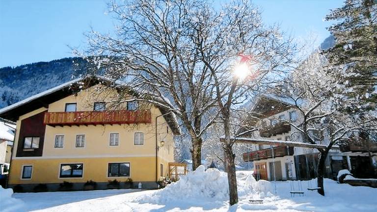 Ferienwohnung Dellach