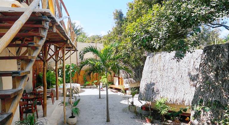 Pleasant dedicated room with pool, yard & patio | Dogs allowed in Isla Holbox