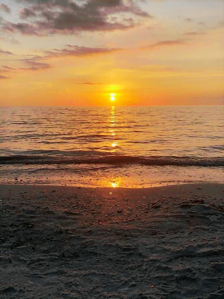 Condo  Marco Island