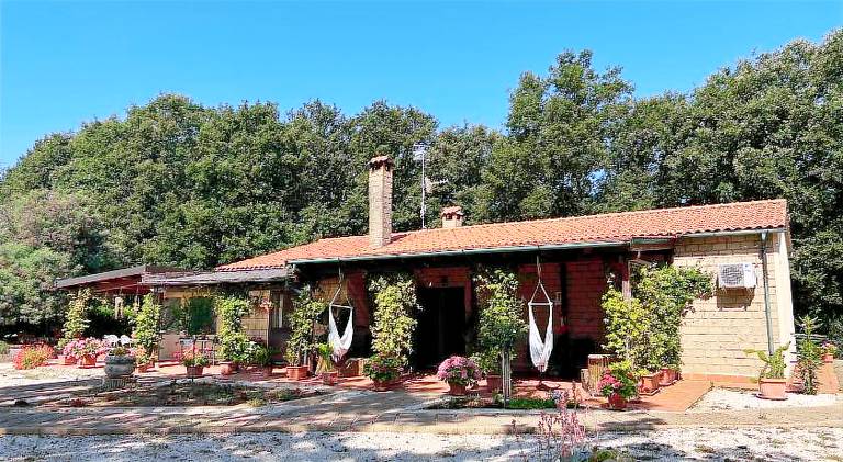 Farm with yard | Pets allowed in Sorano