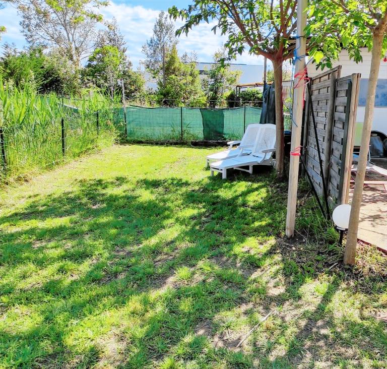 House with patio, garden & barbecue | Garden view — photo 5