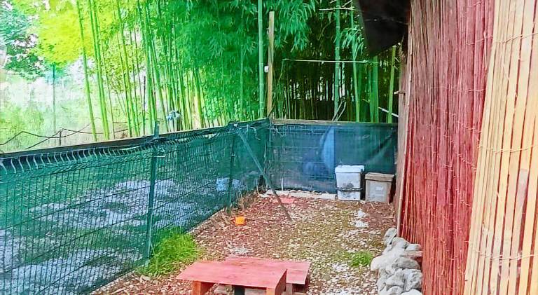 Sherwood family park — photo 5