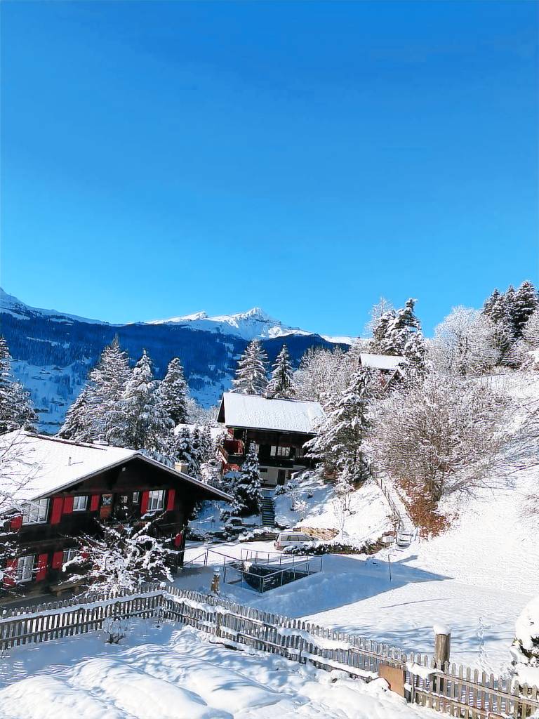 Ferienwohnung Grindelwald
