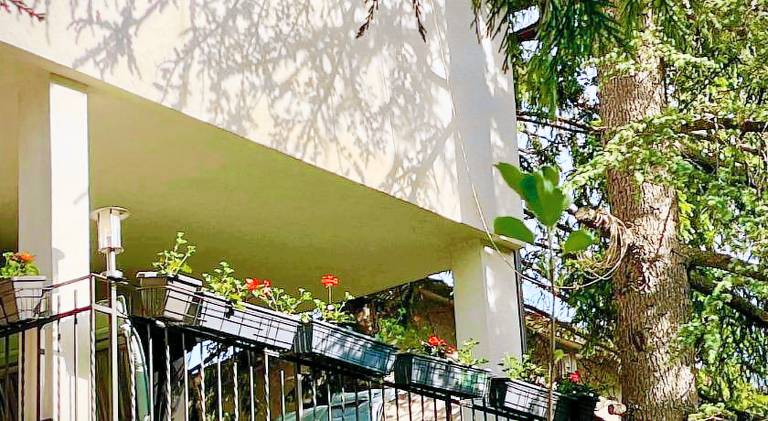Apartman Bela — photo 5
