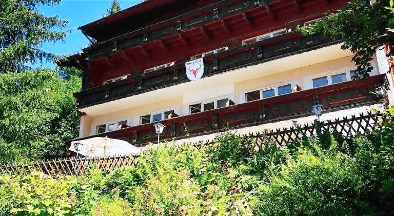 Serviced apartment with yard, patio & sauna in Bad Gastein