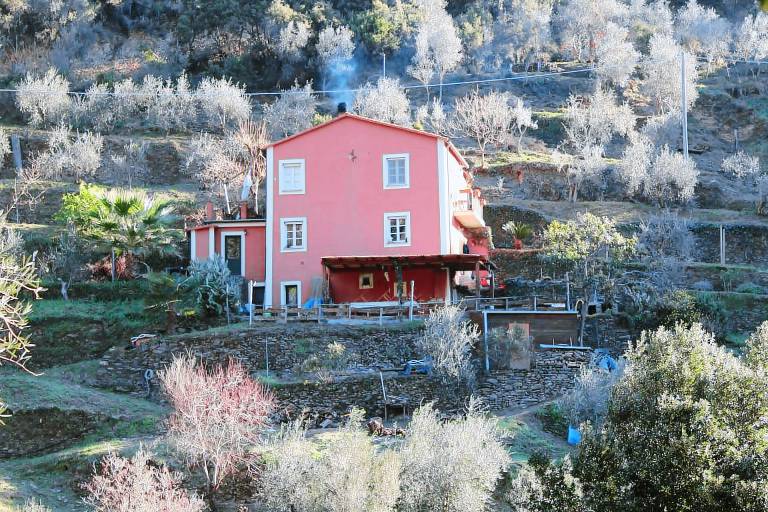 Agriturismo Il Brucaolivo: Immerso nella natura — photo 3