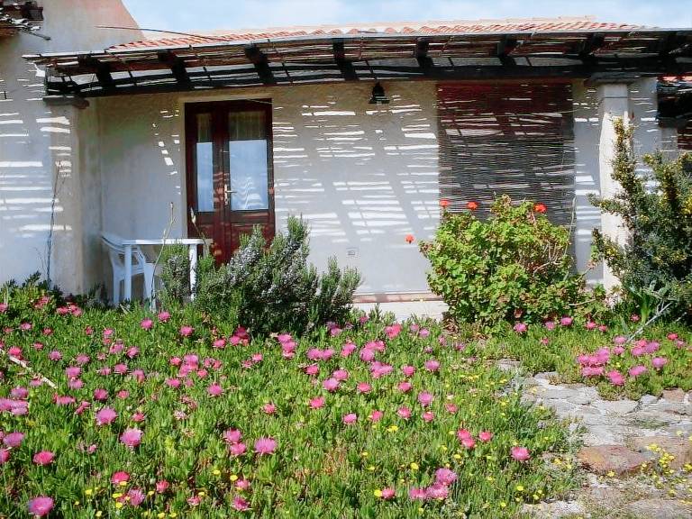 Su Birde: Osalla — photo 5