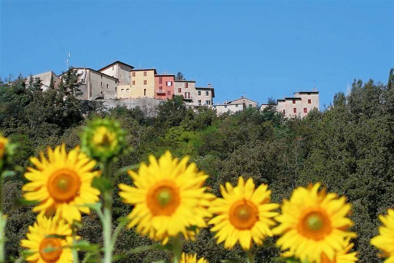Apartment  Montone