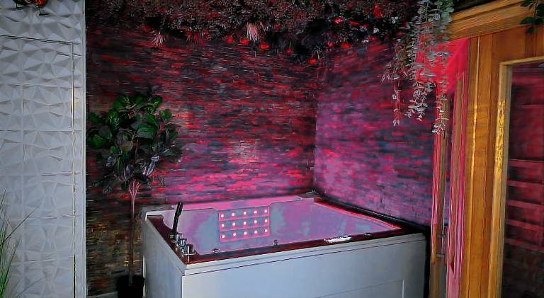 Rental apartment with sauna in Carcassonne