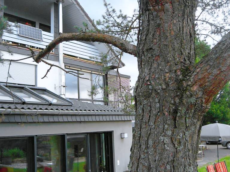 Ferienwohnung Nittel