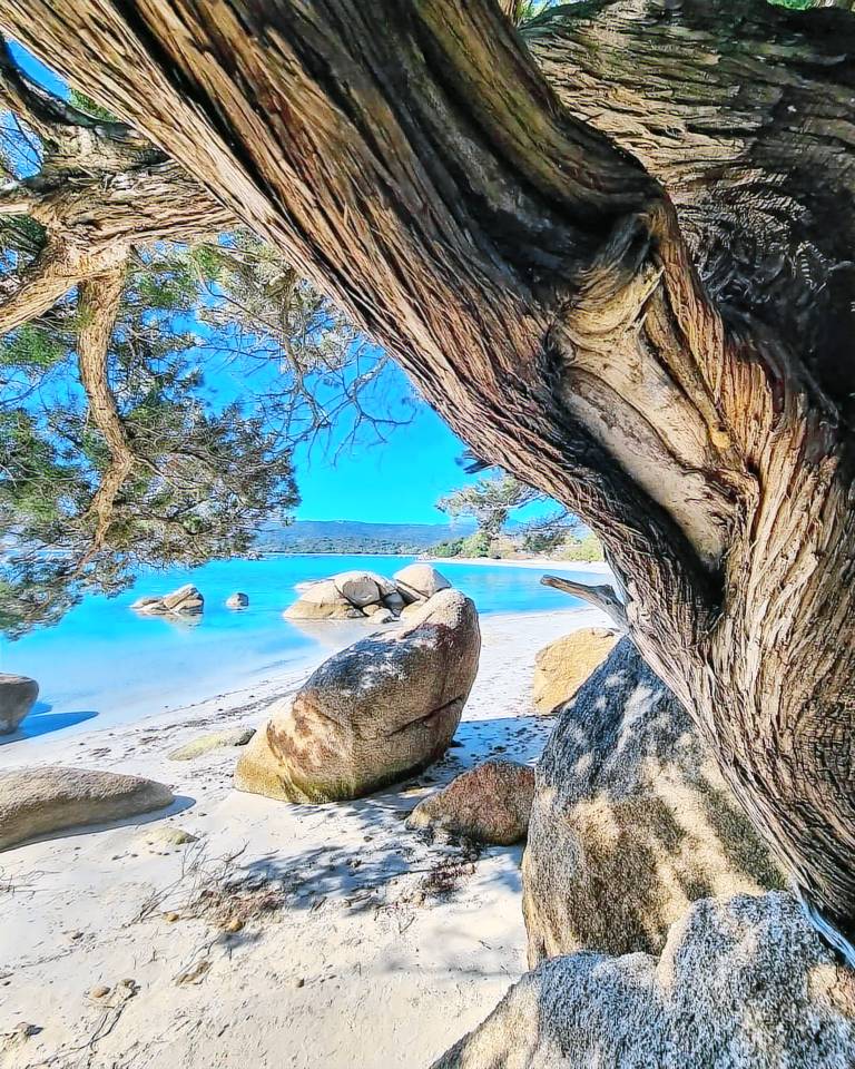 Villa Porto Vecchio