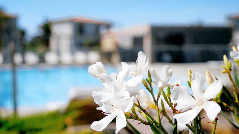 Appartement Lecci