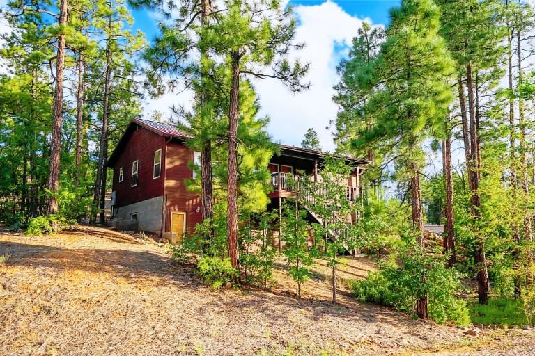 Cabin  Show Low