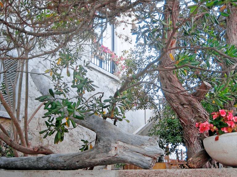 Casa a Capo Testa con vista sul mare e giardino — photo 5