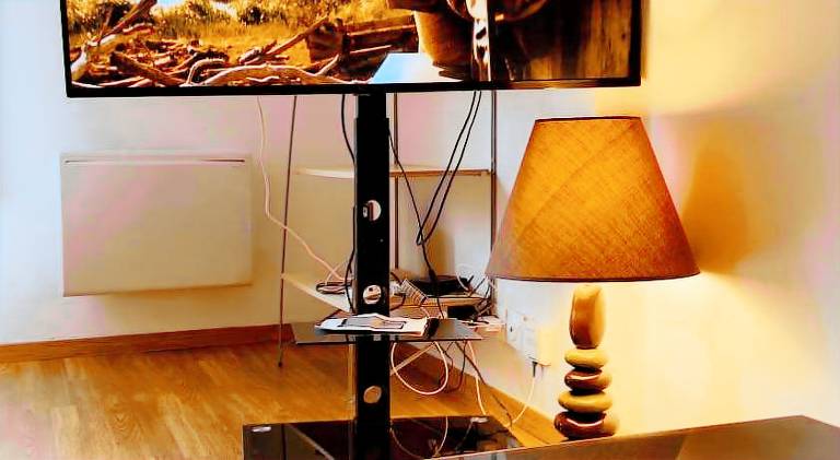 T2 Tout confort TV 55' avec canal series netflix Disney Dazen Bein sport apple TV OCS paramount prim in Laxou