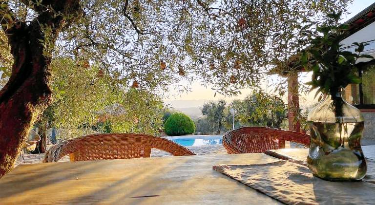 La Melea - vegan Bed and Breakfast — photo 3