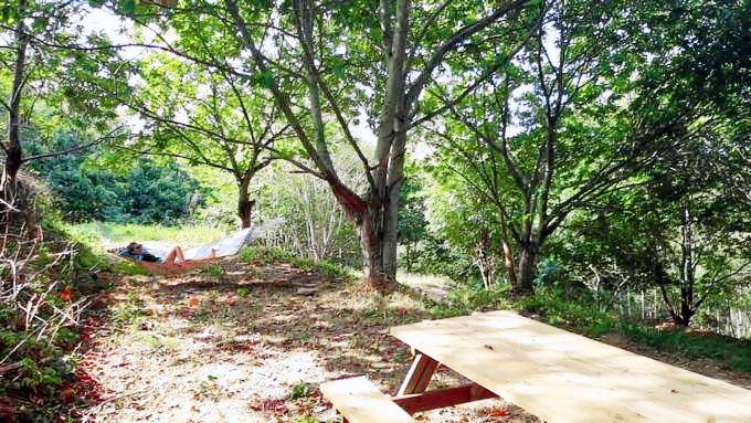 Ferme De Cabessieres — photo 3