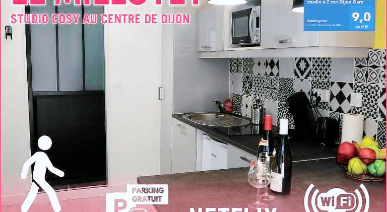 Apartment | Pets are welcome in Dijon