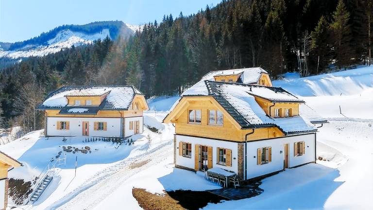 Ferienhaus Donnersbachwald
