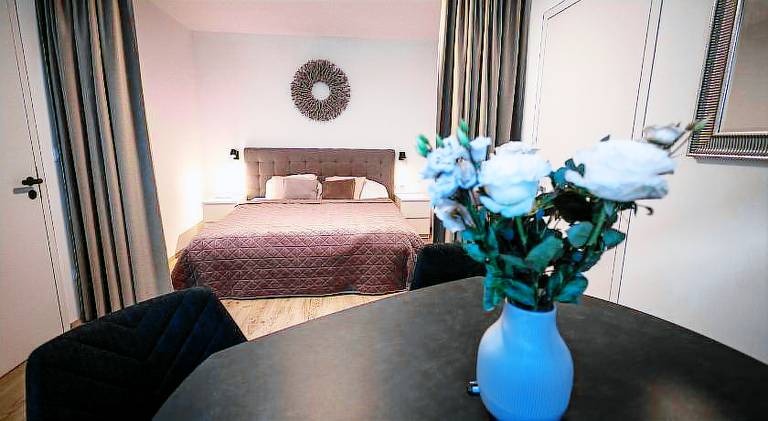 Beautiful rental apartment with terrace | Close to Dancing House | Dogs allowed in Prague