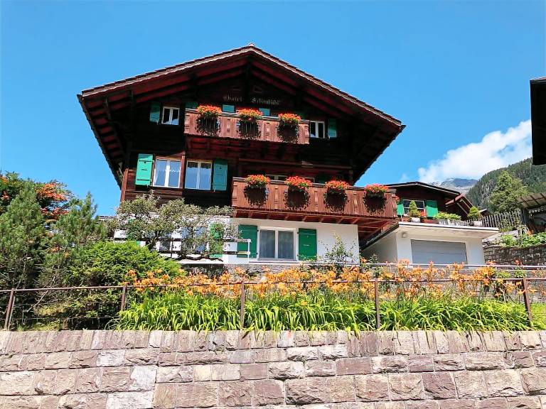 foto1