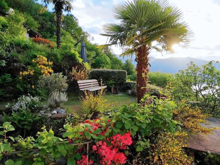 Ferienhaus Piazzogna