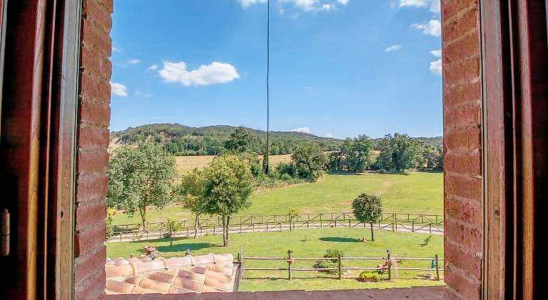 Farm with yard — photo 4