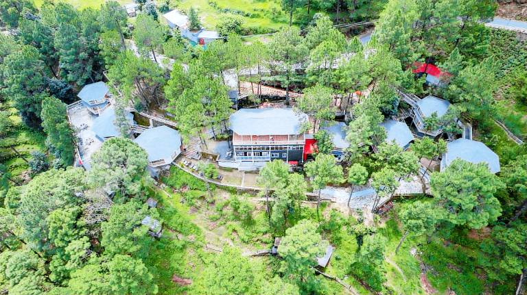 The Woods Retreat