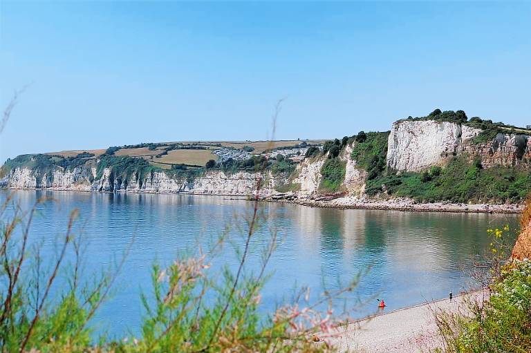 Cottage Seaton