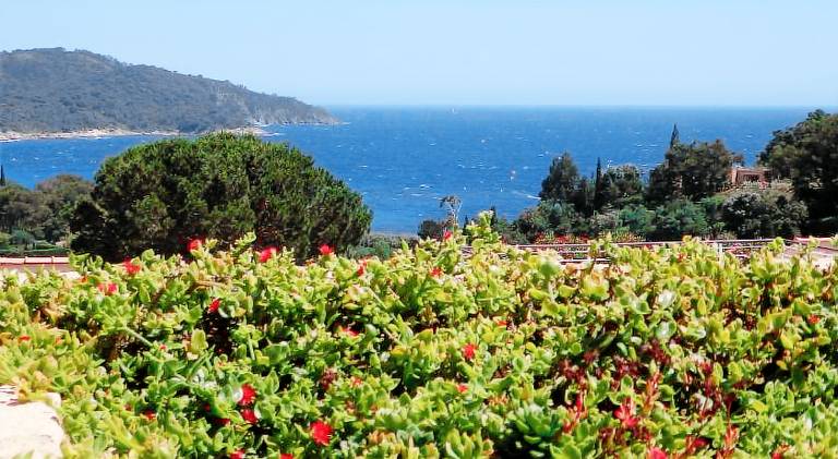 Holiday apartment with yard, terrace & pool in Cavalaire-sur-Mer