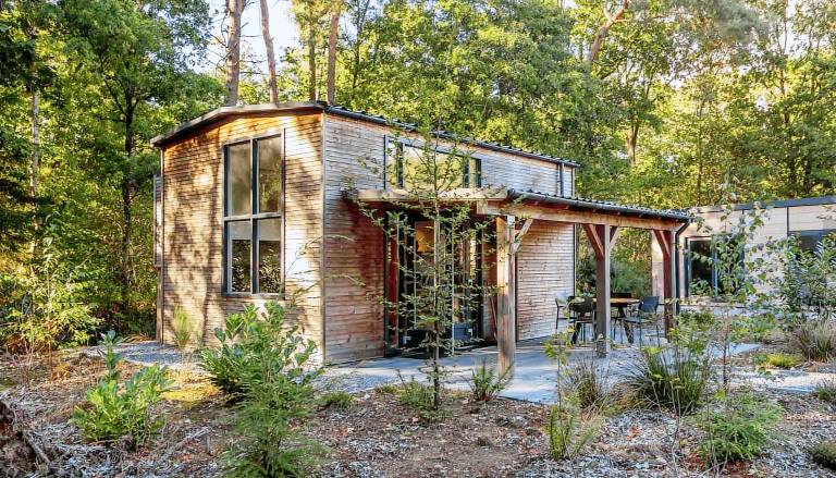 Vakantiepark De Wiltzangh Tiny Borg