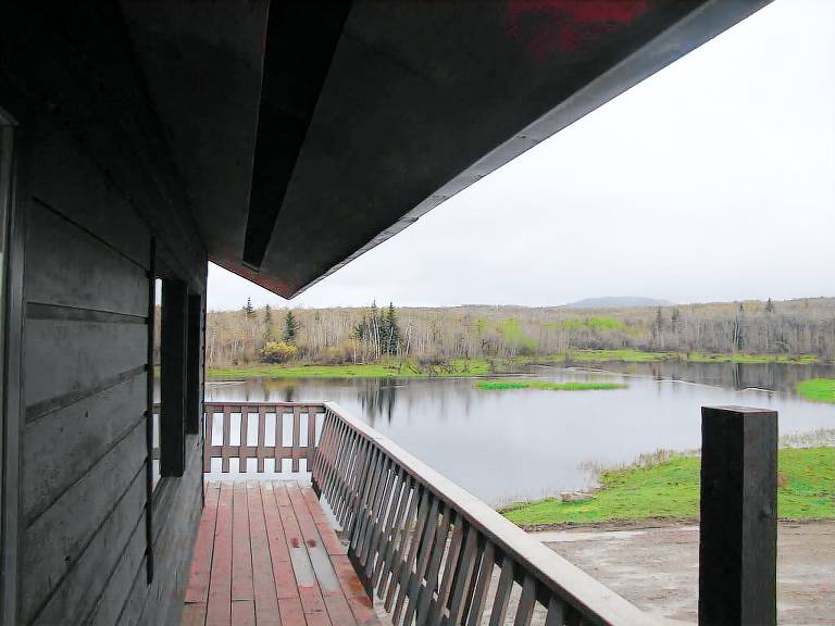 Cabin Mountain View