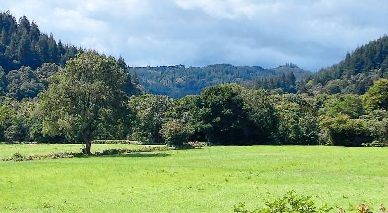 Pleasant vacation home | Pets allowed — photo 4