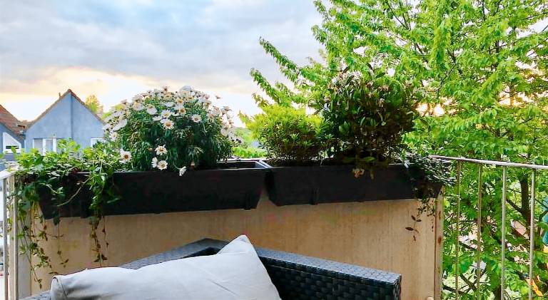 Rental apartment | Pet-friendly — photo 3