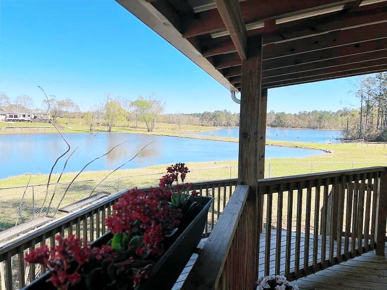Cabin Gulfport