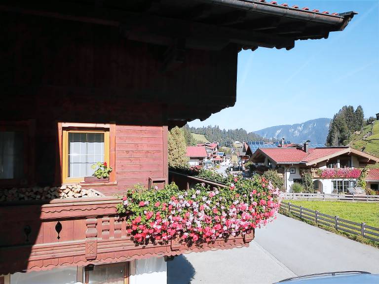 foto1